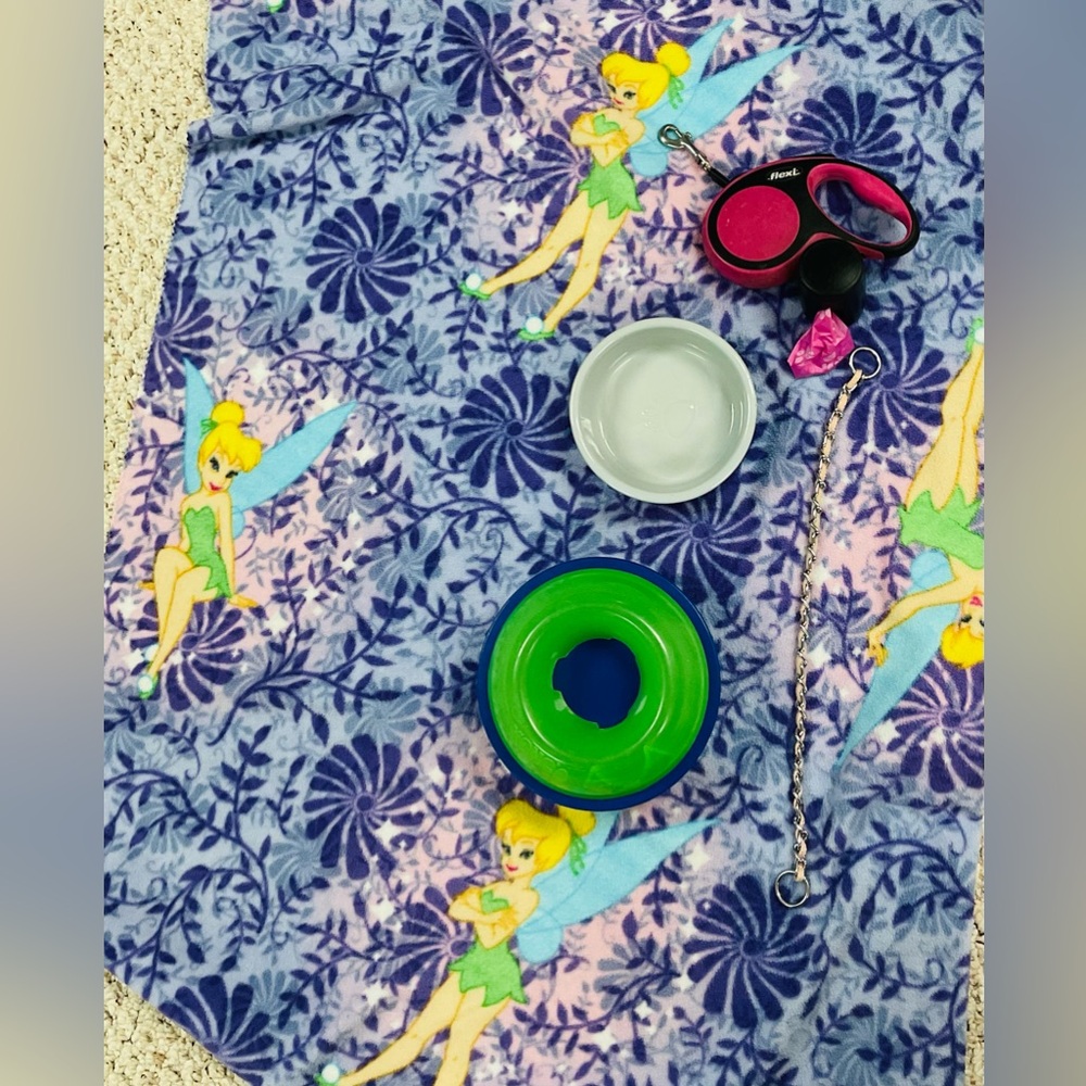 Doggie Tinkerbell Blanket, Blue  Bowl, Leash& Play  Green/Blue Bowl